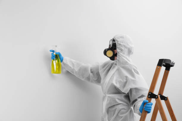 Mold Remediation for Rental Properties in Bayview, CA